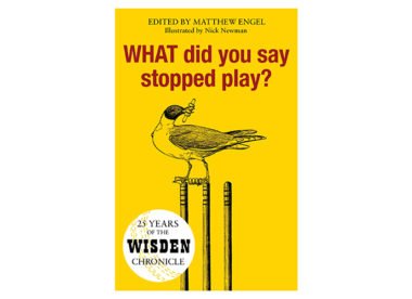 Win! Copy of 'What did you say stopped play?'