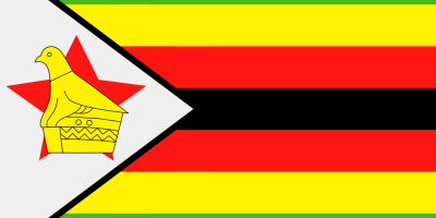 ZIM flag